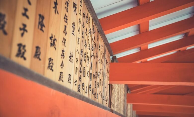 support line contact number